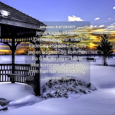 Picture 04 - Johannes 8:42 DA1871 - Jesus sagde til dem: „Dersom Gud var eders - Bible Verse Picture