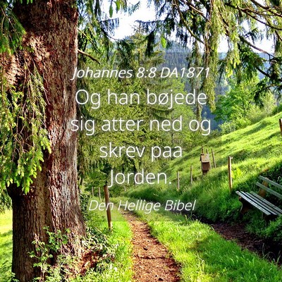 Picture 04 - Johannes 8:8 DA1871 - Og han bøjede sig atter ned og skrev paa - Bible Verse Picture