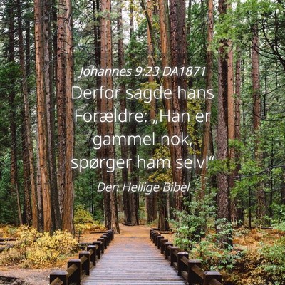 Picture 04 - Johannes 9:23 DA1871 - Derfor sagde hans Forældre: „Han er gammel - Bible Verse Picture