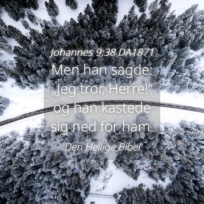 Picture 04 - Johannes 9:38 DA1871 - Men han sagde: „Jeg tror, Herre!“ og han - Bible Verse Picture