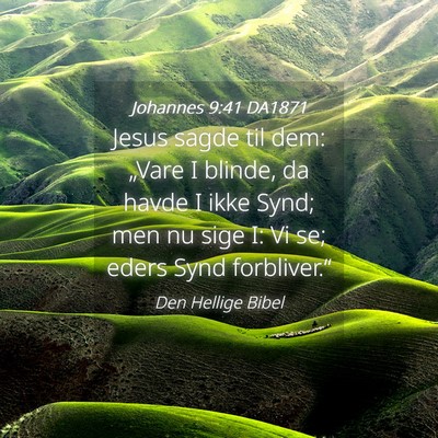 Picture 04 - Johannes 9:41 DA1871 - Jesus sagde til dem: „Vare I blinde, da havde I - Bible Verse Picture