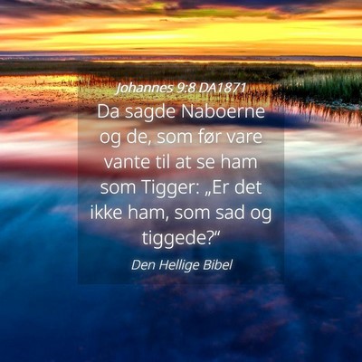 Picture 04 - Johannes 9:8 DA1871 - Da sagde Naboerne og de, som før vare vante til - Bible Verse Picture