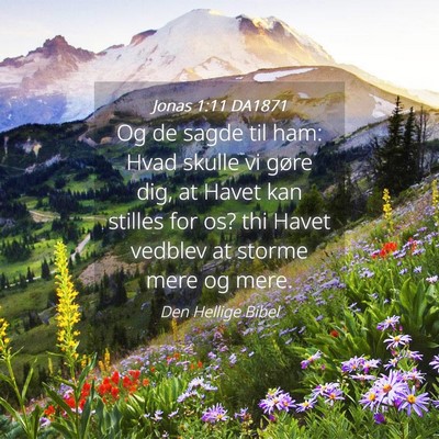 Picture 04 - Jonas 1:11 DA1871 - Og de sagde til ham: Hvad skulle vi gøre dig, at - Bible Verse Picture