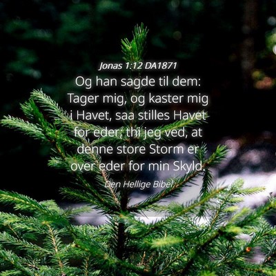 Picture 04 - Jonas 1:12 DA1871 - Og han sagde til dem: Tager mig, og kaster mig i - Bible Verse Picture