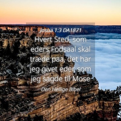 Picture 04 - Josua 1:3 DA1871 - Hvert Sted, som eders Fodsaal skal træde paa, - Bible Verse Picture