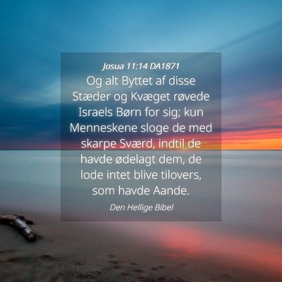 Picture 04 - Josua 11:14 DA1871 - Og alt Byttet af disse Stæder og Kvæget røvede - Bible Verse Picture