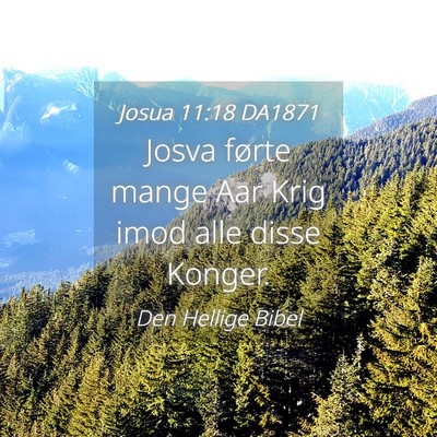 Picture 04 - Josua 11:18 DA1871 - Josva førte mange Aar Krig imod alle disse - Bible Verse Picture