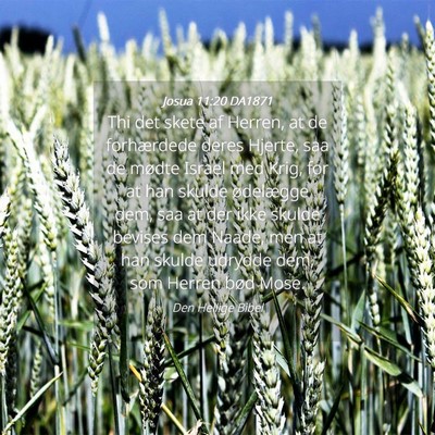 Picture 04 - Josua 11:20 DA1871 - Thi det skete af Herren, at de forhærdede deres - Bible Verse Picture