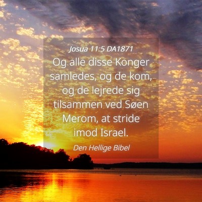 Picture 04 - Josua 11:5 DA1871 - Og alle disse Konger samledes, og de kom, og de - Bible Verse Picture