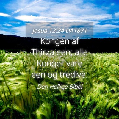 Picture 04 - Josua 12:24 DA1871 - Kongen af Thirza een; alle Konger vare een og - Bible Verse Picture