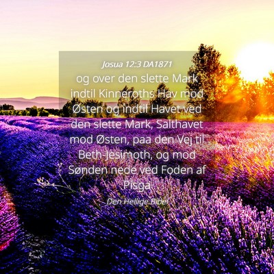 Picture 04 - Josua 12:3 DA1871 - og over den slette Mark indtil Kinneroths Hav mod - Bible Verse Picture