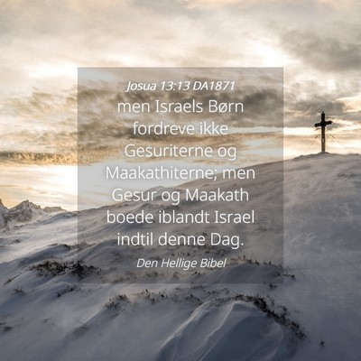 Picture 04 - Josua 13:13 DA1871 - men Israels Børn fordreve ikke Gesuriterne og - Bible Verse Picture