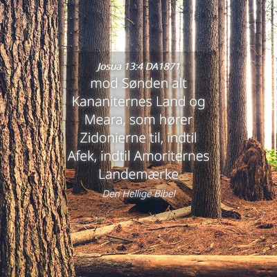 Picture 04 - Josua 13:4 DA1871 - mod Sønden alt Kananiternes Land og Meara, som - Bible Verse Picture