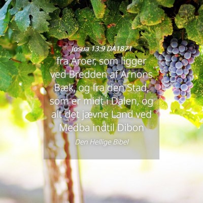 Picture 04 - Josua 13:9 DA1871 - fra Aroer, som ligger ved Bredden af Arnons Bæk, - Bible Verse Picture