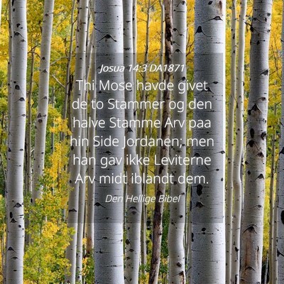 Picture 04 - Josua 14:3 DA1871 - Thi Mose havde givet de to Stammer og den halve - Bible Verse Picture