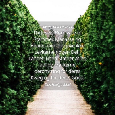 Picture 04 - Josua 14:4 DA1871 - Thi Josefs Børn vare to Stammer, Manasse og - Bible Verse Picture