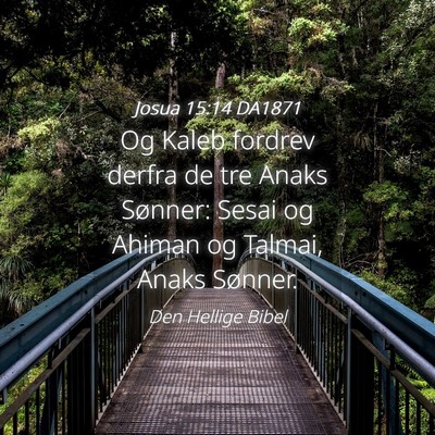 Picture 04 - Josua 15:14 DA1871 - Og Kaleb fordrev derfra de tre Anaks Sønner: - Bible Verse Picture
