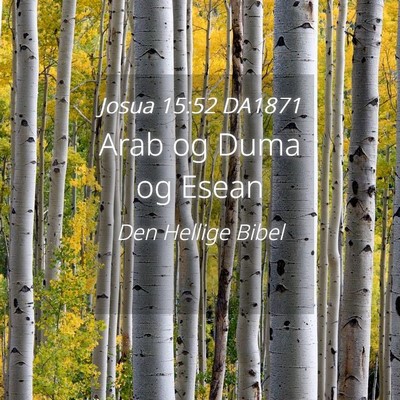 Picture 04 - Josua 15:52 DA1871 - Arab og Duma og - Bible Verse Picture