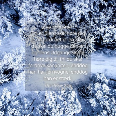 Picture 04 - Josua 17:18 DA1871 - Thi et Bjerg skal høre dig til, og fordi det er - Bible Verse Picture
