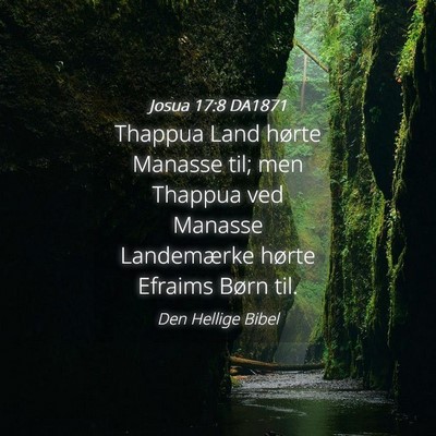 Picture 04 - Josua 17:8 DA1871 - Thappua Land hørte Manasse til; men Thappua ved - Bible Verse Picture