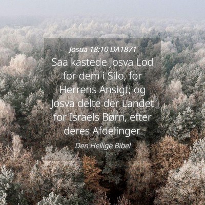 Picture 04 - Josua 18:10 DA1871 - Saa kastede Josva Lod for dem i Silo, for Herrens - Bible Verse Picture