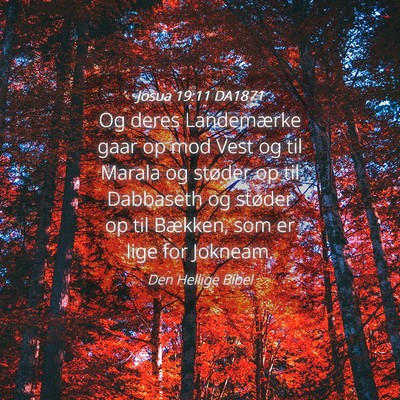 Picture 04 - Josua 19:11 DA1871 - Og deres Landemærke gaar op mod Vest og til - Bible Verse Picture