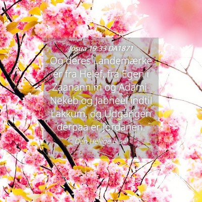 Picture 04 - Josua 19:33 DA1871 - Og deres Landemærke er fra Helef, fra Egen i - Bible Verse Picture