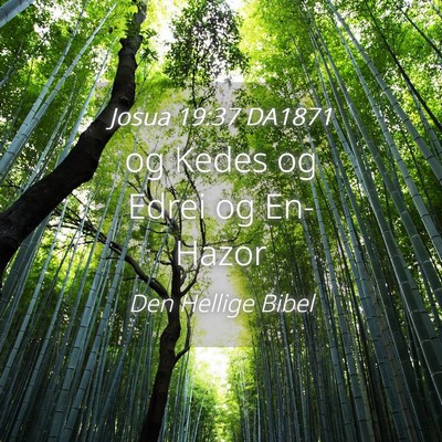 Picture 04 - Josua 19:37 DA1871 - og Kedes og Edrei og - Bible Verse Picture