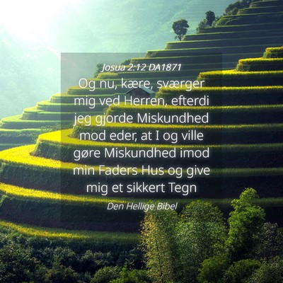 Picture 04 - Josua 2:12 DA1871 - Og nu, kære, sværger mig ved Herren, efterdi - Bible Verse Picture