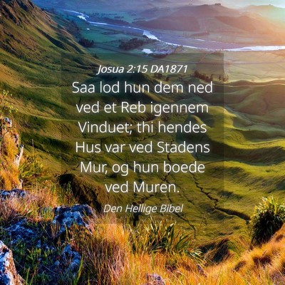 Picture 04 - Josua 2:15 DA1871 - Saa lod hun dem ned ved et Reb igennem Vinduet; - Bible Verse Picture