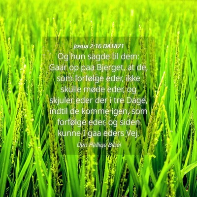 Picture 04 - Josua 2:16 DA1871 - Og hun sagde til dem: Gaar op paa Bjerget, at de, - Bible Verse Picture