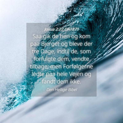 Picture 04 - Josua 2:22 DA1871 - Saa gik de hen og kom paa Bjerget og bleve der - Bible Verse Picture