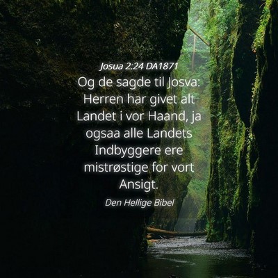 Picture 04 - Josua 2:24 DA1871 - Og de sagde til Josva: Herren har givet alt - Bible Verse Picture