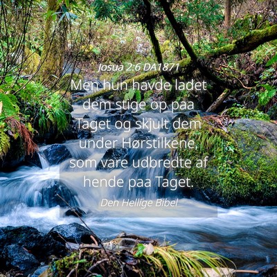 Picture 04 - Josua 2:6 DA1871 - Men hun havde ladet dem stige op paa Taget og - Bible Verse Picture