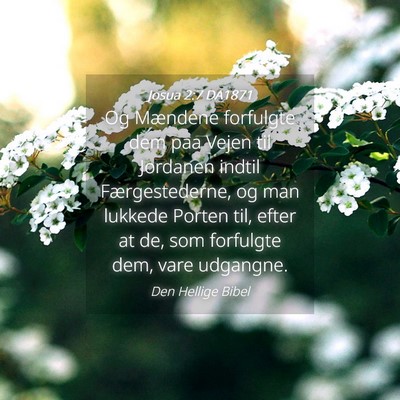 Picture 04 - Josua 2:7 DA1871 - Og Mændene forfulgte dem paa Vejen til Jordanen - Bible Verse Picture