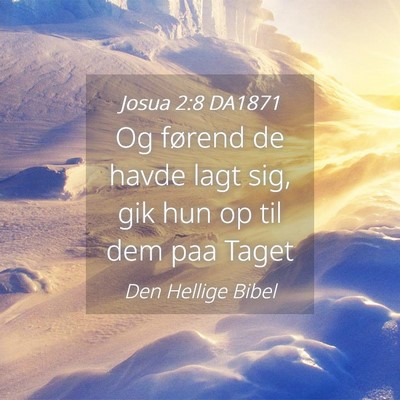 Picture 04 - Josua 2:8 DA1871 - Og førend de havde lagt sig, gik hun op til dem - Bible Verse Picture