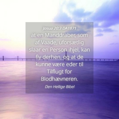 Picture 04 - Josua 20:3 DA1871 - at en Manddraber, som af Vaade, uforsætlig slaar - Bible Verse Picture