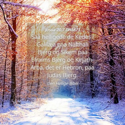 Picture 04 - Josua 20:7 DA1871 - Saa helligede de Kedes i Galilæa paa Nafthali - Bible Verse Picture