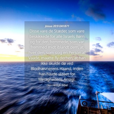 Picture 04 - Josua 20:9 DA1871 - Disse vare de Stæder, som vare beskikkede for - Bible Verse Picture
