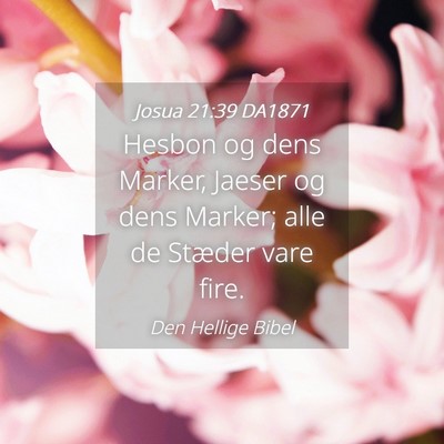 Picture 04 - Josua 21:39 DA1871 - Hesbon og dens Marker, Jaeser og dens Marker; - Bible Verse Picture