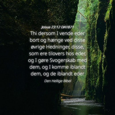 Picture 04 - Josua 23:12 DA1871 - Thi dersom I vende eder bort og hænge ved disse - Bible Verse Picture