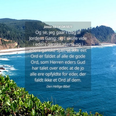 Picture 04 - Josua 23:14 DA1871 - Og se, jeg gaar i Dag al Jordens Gang; og I - Bible Verse Picture