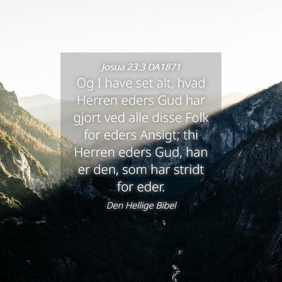 Picture 04 - Josua 23:3 DA1871 - Og I have set alt, hvad Herren eders Gud har - Bible Verse Picture