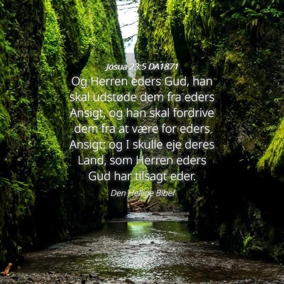 Picture 04 - Josua 23:5 DA1871 - Og Herren eders Gud, han skal udstøde dem fra - Bible Verse Picture