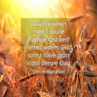 Picture 04 - Josua 23:8 DA1871 - men I skulle hænge fast ved Herren eders Gud, - Bible Verse Picture