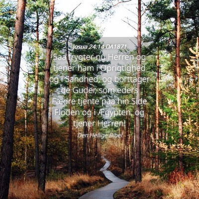 Picture 04 - Josua 24:14 DA1871 - Saa frygter nu Herren og tjener ham i Oprigtighed - Bible Verse Picture