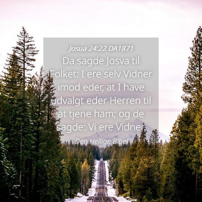 Picture 04 - Josua 24:22 DA1871 - Da sagde Josva til Folket: I ere selv Vidner imod - Bible Verse Picture