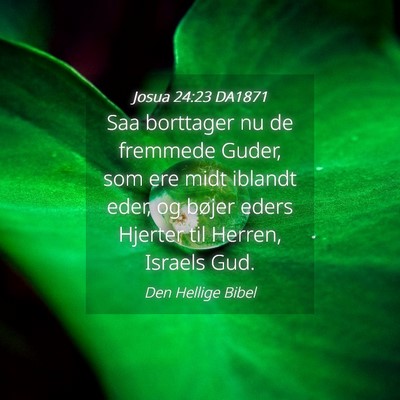 Picture 04 - Josua 24:23 DA1871 - Saa borttager nu de fremmede Guder, som ere midt - Bible Verse Picture
