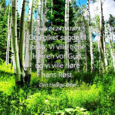 Picture 04 - Josua 24:24 DA1871 - Og Folket sagde til Josva: Vi ville tjene Herren - Bible Verse Picture