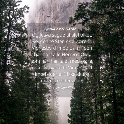 Picture 04 - Josua 24:27 DA1871 - Og Josva sagde til alt Folket: Se, denne Sten - Bible Verse Picture